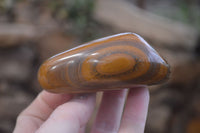 Polished Tiger's Eye Free Forms x 5 From Prieska, South Africa
