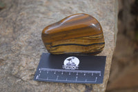Polished Tiger's Eye Free Forms x 5 From Prieska, South Africa