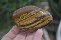 Polished Tiger's Eye Free Forms x 5 From Prieska, South Africa