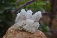 Natural Drusy Quartz Coated Calcite Pseudomorph Specimens x 6 From Alberts Mountain, Lesotho - Toprock Gemstones and Minerals 