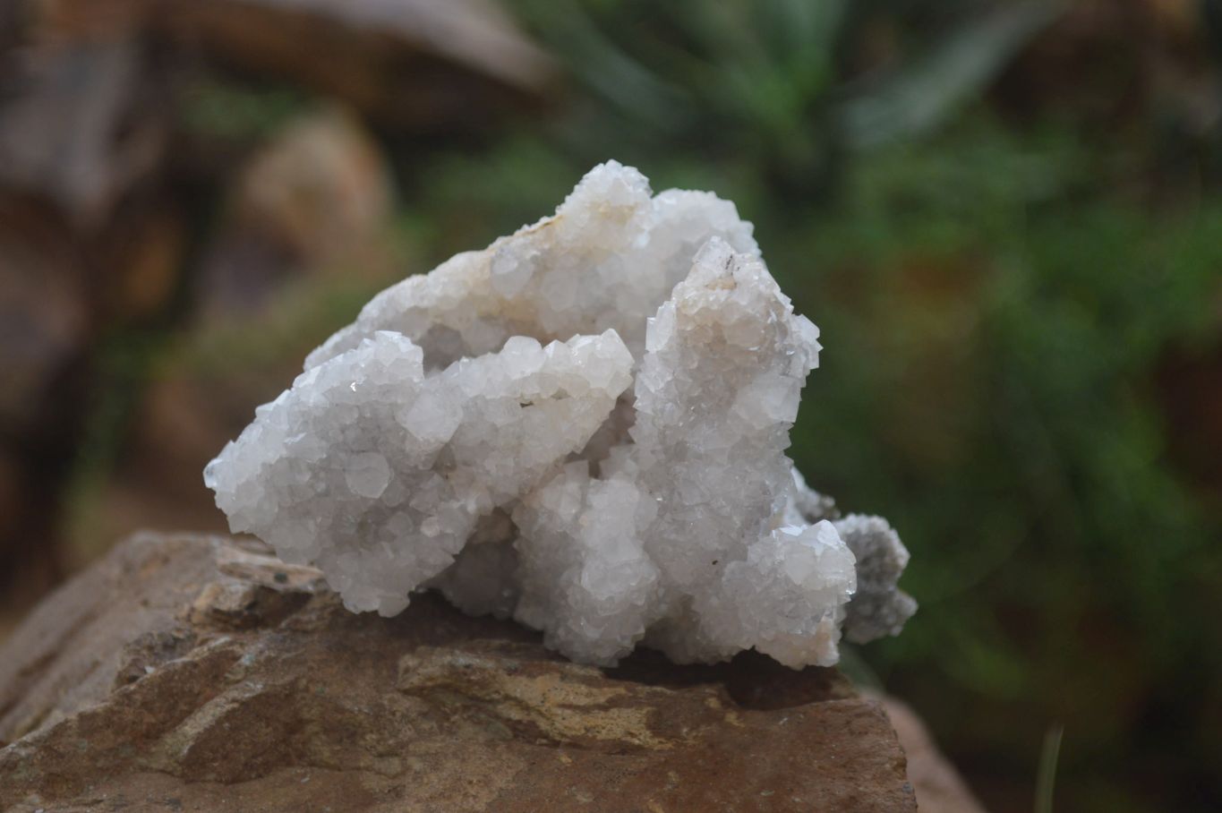 Natural Drusy Quartz Coated Calcite Pseudomorph Specimens x 6 From Alberts Mountain, Lesotho - Toprock Gemstones and Minerals 