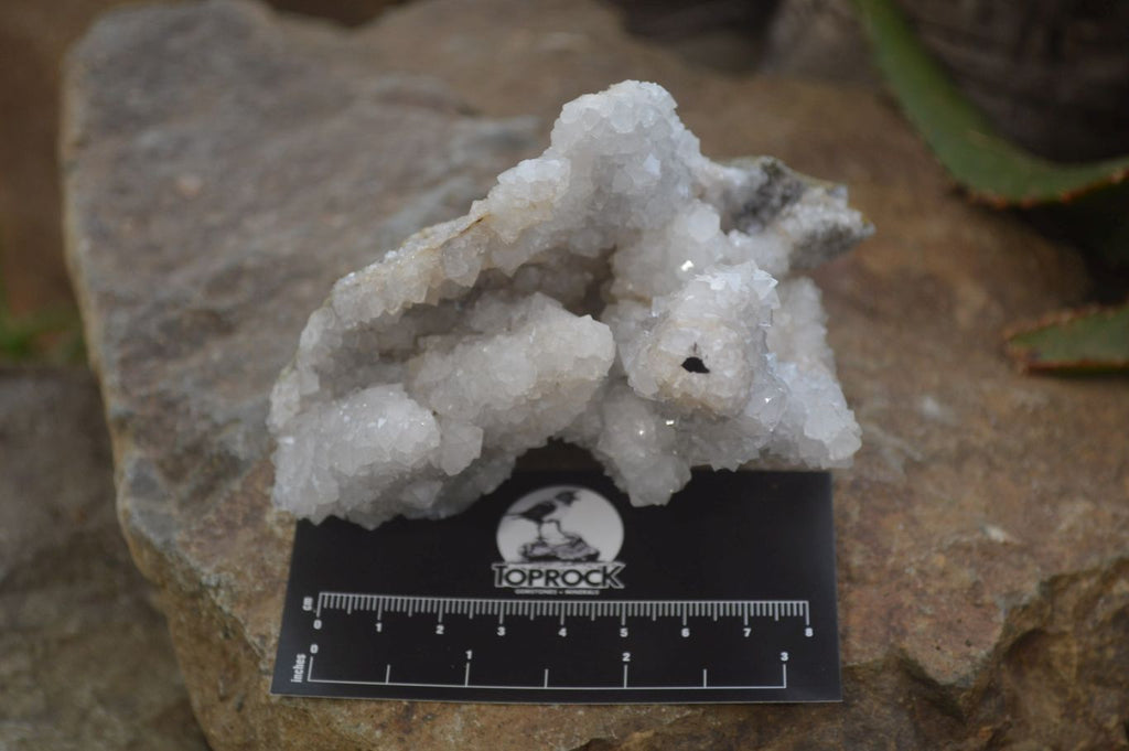 Natural Drusy Quartz Coated Calcite Pseudomorph Specimens x 6 From Alberts Mountain, Lesotho - Toprock Gemstones and Minerals 
