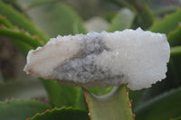 Natural Drusy Quartz Coated Calcite Pseudomorph Specimens x 6 From Alberts Mountain, Lesotho - Toprock Gemstones and Minerals 
