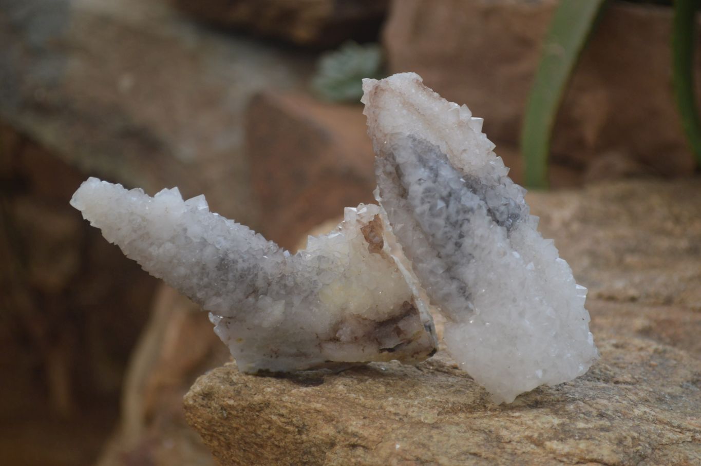 Natural Drusy Quartz Coated Calcite Pseudomorph Specimens x 6 From Alberts Mountain, Lesotho - Toprock Gemstones and Minerals 
