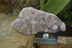 Natural Amethyst Spirit Quartz Clusters x 1 From Boekenhouthoek, South Africa - Toprock Gemstones and Minerals 