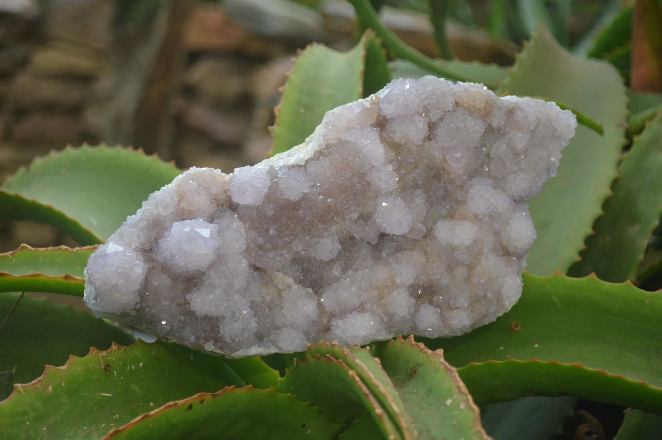 Natural Amethyst Spirit Quartz Clusters x 1 From Boekenhouthoek, South Africa - Toprock Gemstones and Minerals 
