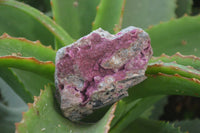 Natural Salrose Cobaltion Dolomite with malachite Specimens x 12 From Kakanda, Congo - Toprock Gemstones and Minerals 