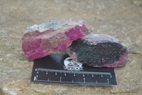 Natural Salrose Cobaltion Dolomite with malachite Specimens x 12 From Kakanda, Congo - Toprock Gemstones and Minerals 