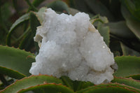 Natural Drusy Quartz Coated Quartz Specimens x 3 From Alberts Mountain, Lesotho
