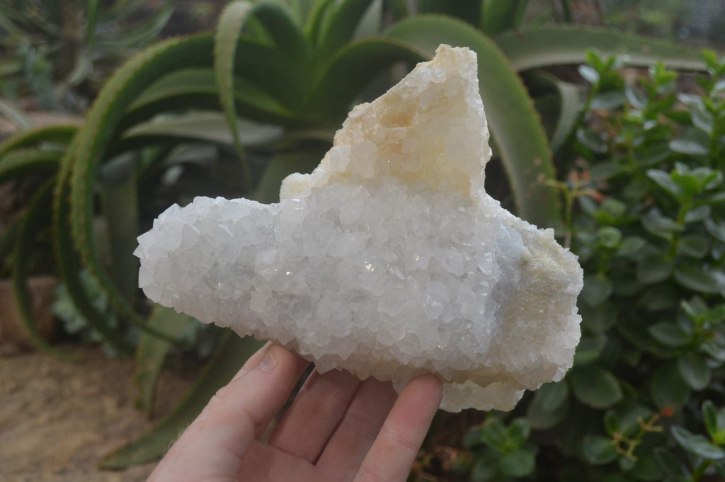 Natural Drusy Quartz Coated Quartz Specimens x 3 From Alberts Mountain, Lesotho - Toprock Gemstones and Minerals 