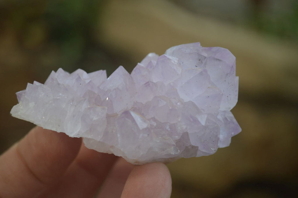 Natural Amethyst and Ametrine Cactus Flower Spirit Quartz Clusters x 12 From Boekenhouthoek, South Africa - Toprock Gemstones and Minerals 