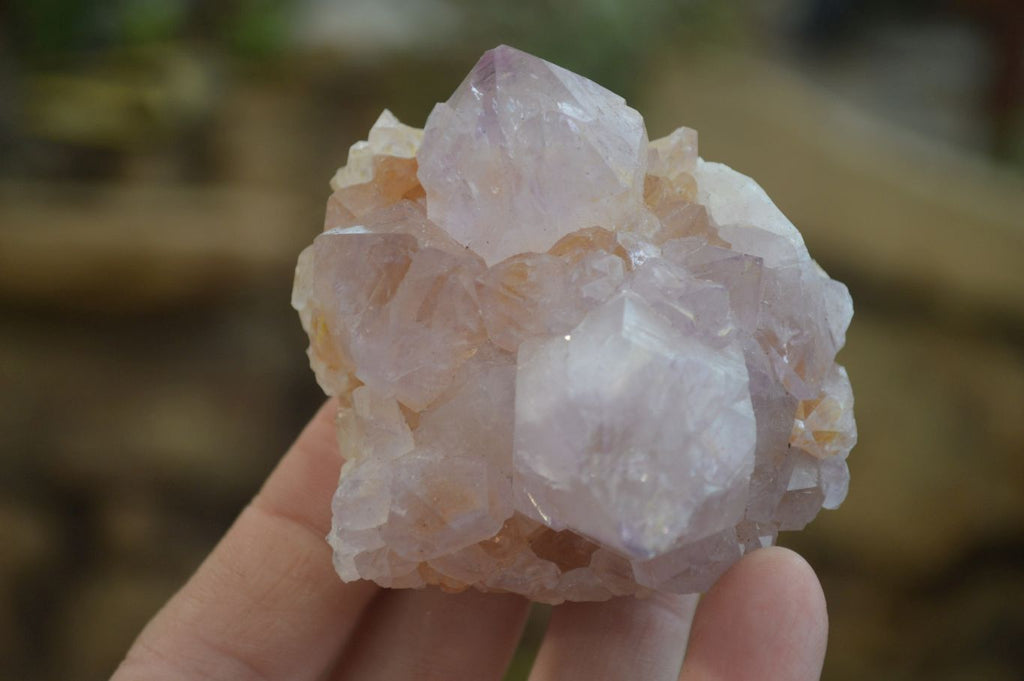 Natural Amethyst and Ametrine Cactus Flower Spirit Quartz Clusters x 12 From Boekenhouthoek, South Africa - Toprock Gemstones and Minerals 
