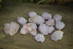 Natural Amethyst and Ametrine Cactus Flower Spirit Quartz Clusters x 12 From Boekenhouthoek, South Africa - Toprock Gemstones and Minerals 