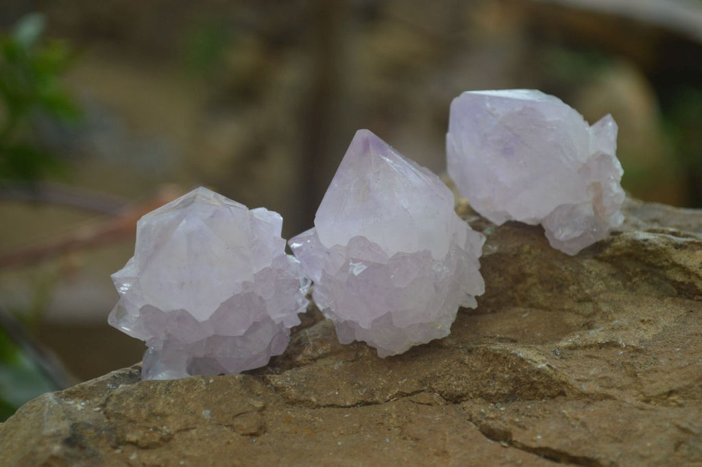 Natural Amethyst and Ametrine Cactus Flower Spirit Quartz Clusters x 12 From Boekenhouthoek, South Africa - Toprock Gemstones and Minerals 