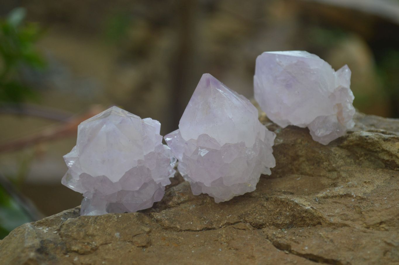 Natural Amethyst and Ametrine Cactus Flower Spirit Quartz Clusters x 12 From Boekenhouthoek, South Africa - Toprock Gemstones and Minerals 