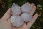 Natural Amethyst and Ametrine Cactus Flower Spirit Quartz Clusters x 12 From Boekenhouthoek, South Africa - Toprock Gemstones and Minerals 