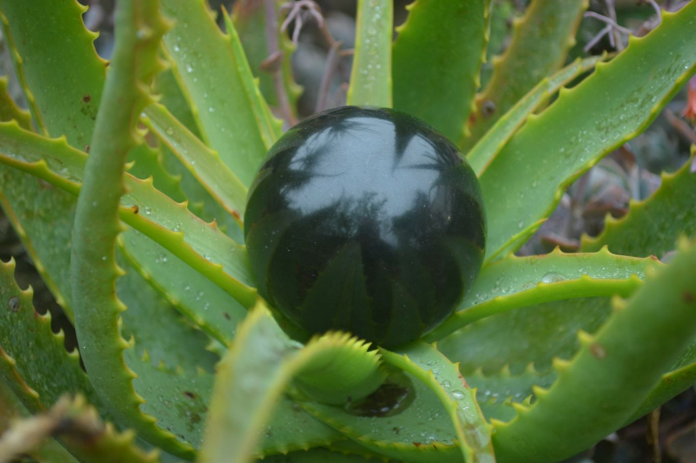 Polished Black Basalt Spheres x 3 From Antsirabe, Madagascar - Toprock Gemstones and Minerals 