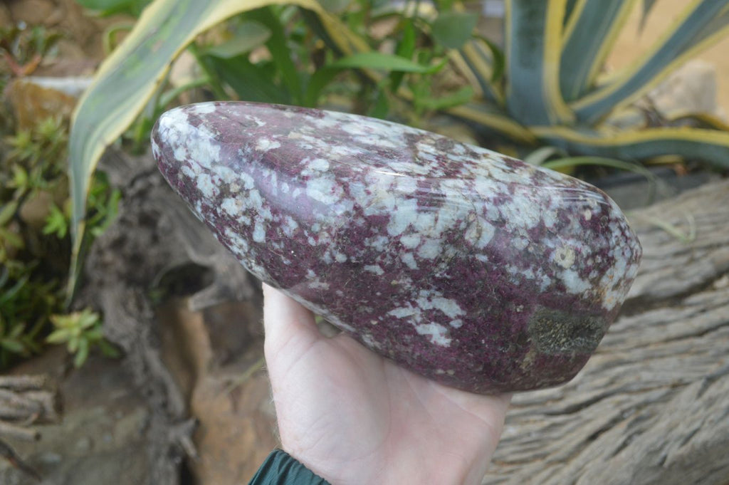 Polished Rubellite Pink Tourmaline Standing Free Forms x 1 From Ambatondrazaka, Madagascar - Toprock Gemstones and Minerals 