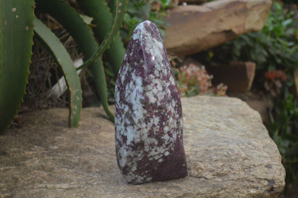 Polished Rubellite Pink Tourmaline Standing Free Forms x 1 From Ambatondrazaka, Madagascar - Toprock Gemstones and Minerals 