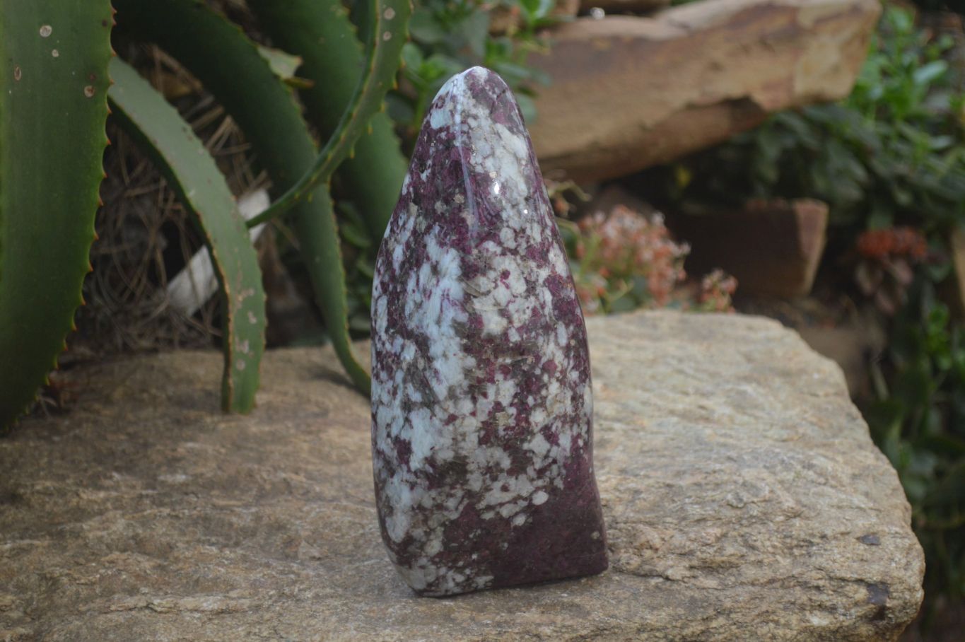 Polished Rubellite Pink Tourmaline Standing Free Forms x 1 From Ambatondrazaka, Madagascar - Toprock Gemstones and Minerals 