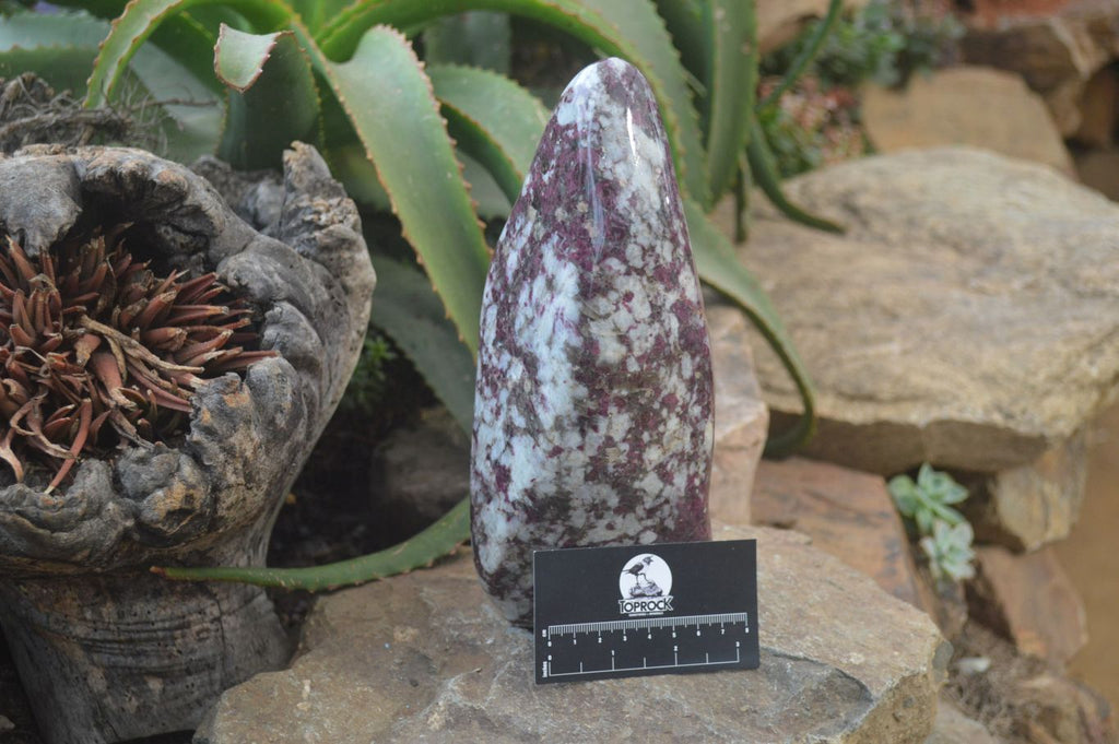 Polished Rubellite Pink Tourmaline Standing Free Forms x 1 From Ambatondrazaka, Madagascar - Toprock Gemstones and Minerals 