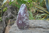 Polished Rubellite Pink Tourmaline Standing Free Forms x 1 From Ambatondrazaka, Madagascar - Toprock Gemstones and Minerals 