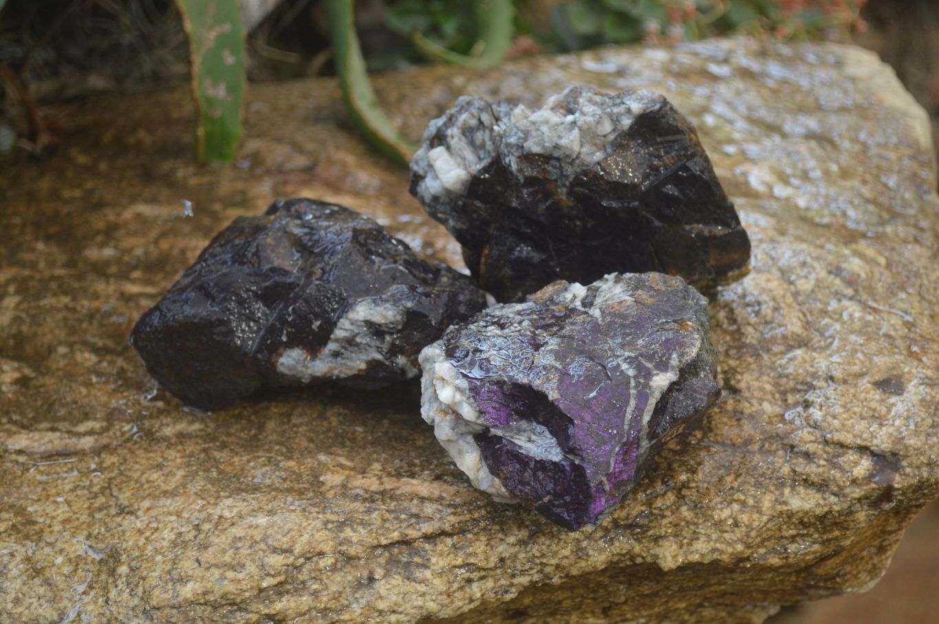 Natural Rare Metallic Purpurite Cobbed Specimens x 3 From Erongo, Namibia - Toprock Gemstones and Minerals 