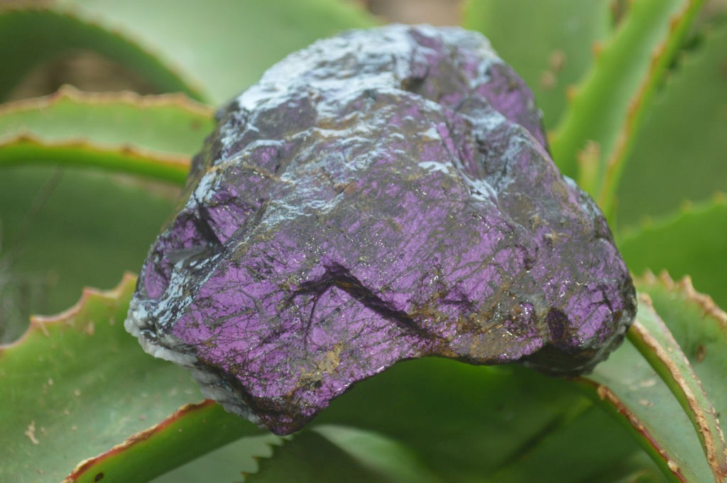 Natural Rare Metallic Purpurite Cobbed Specimens x 3 From Erongo, Namibia - Toprock Gemstones and Minerals 
