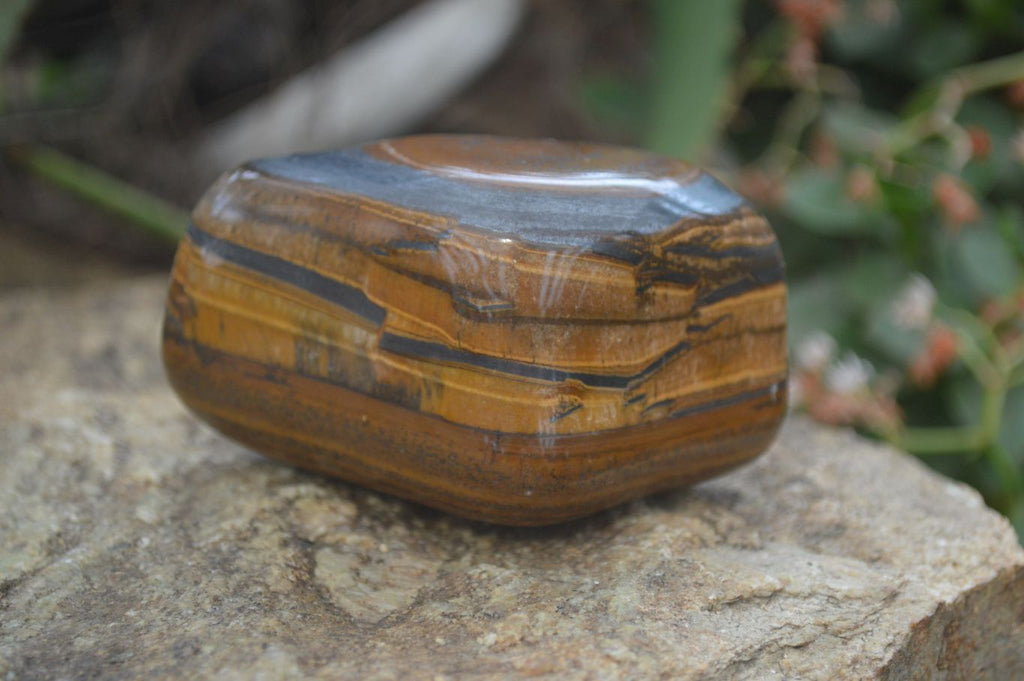 Polished Tiger's Eye Free Forms x 4 From Prieska, South Africa - Toprock Gemstones and Minerals 