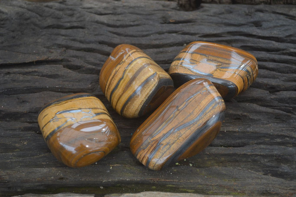 Polished Tiger's Eye Free Forms x 4 From Prieska, South Africa - Toprock Gemstones and Minerals 