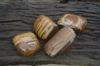 Polished Tiger's Eye Free Forms x 4 From Prieska, South Africa - Toprock Gemstones and Minerals 