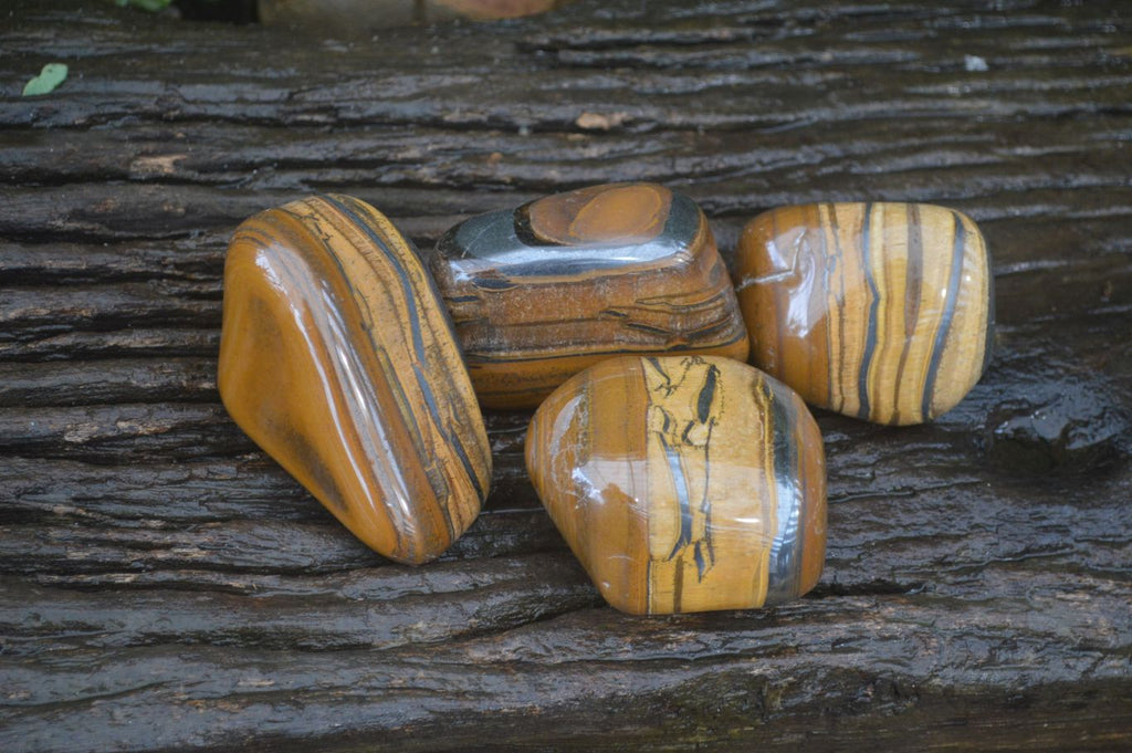 Polished Tiger's Eye Free Forms x 4 From Prieska, South Africa - Toprock Gemstones and Minerals 