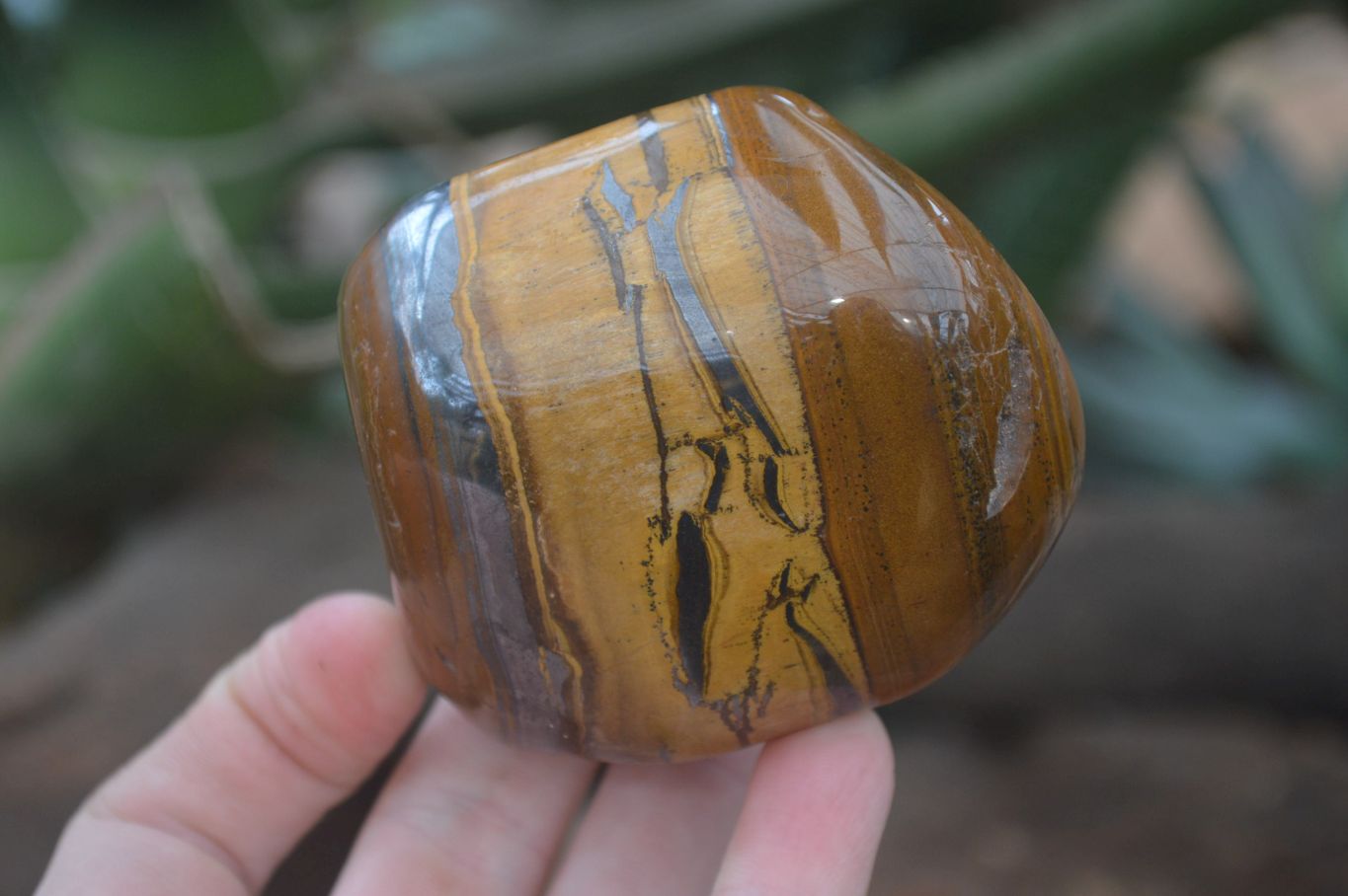 Polished Tiger's Eye Free Forms x 4 From Prieska, South Africa - Toprock Gemstones and Minerals 