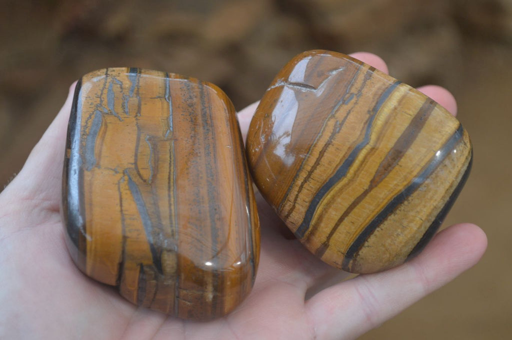 Polished Tiger's Eye Free Forms x 4 From Prieska, South Africa - Toprock Gemstones and Minerals 