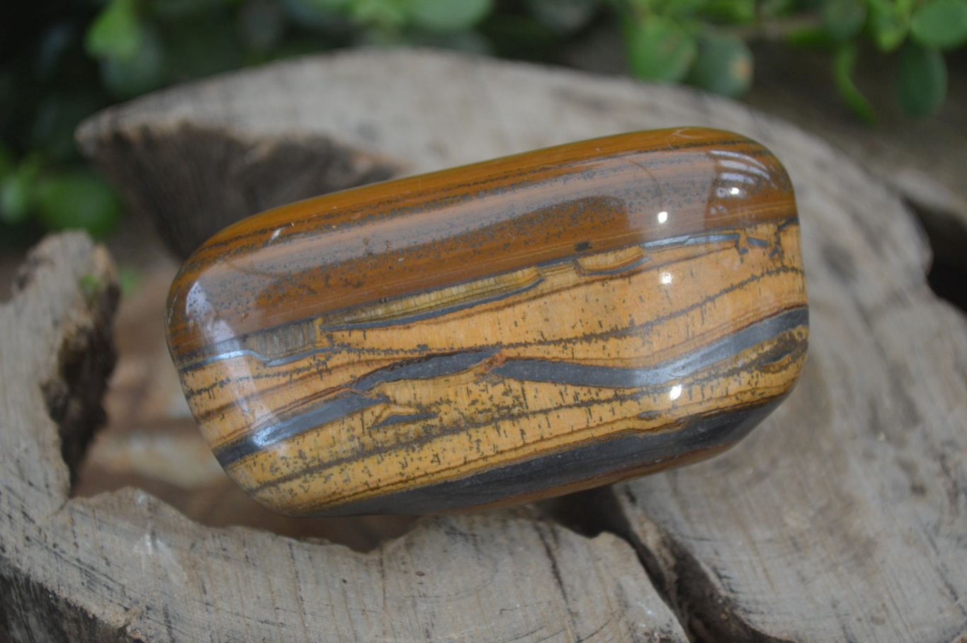 Polished Tiger's Eye Free Forms x 4 From Prieska, South Africa - Toprock Gemstones and Minerals 