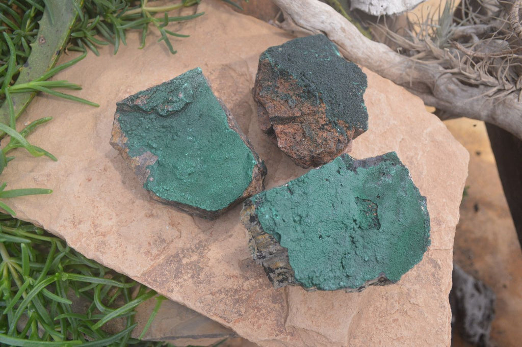 Natural Botryoidal Malachite Specimens x 3 From Congo - Toprock Gemstones and Minerals 