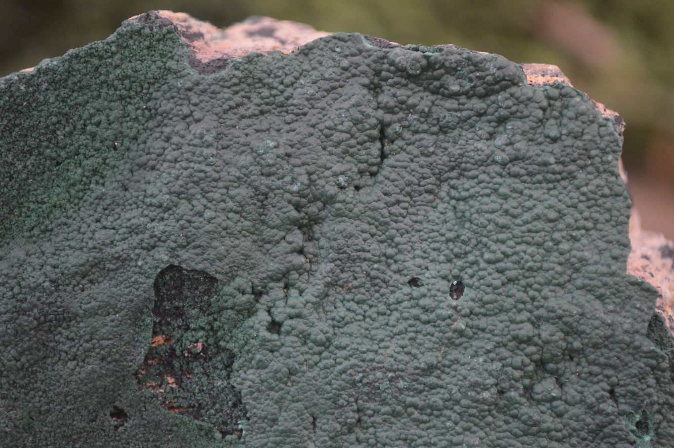 Natural Botryoidal Malachite Specimens x 3 From Congo - Toprock Gemstones and Minerals 