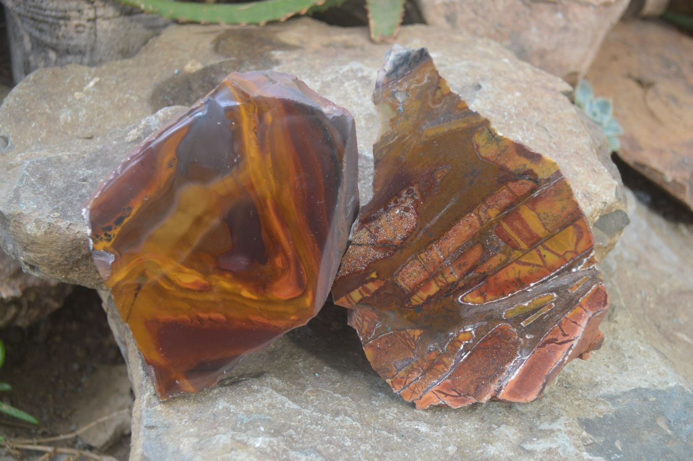 Polished On One Side Nguni Jasper Specimens x 2 From Prieska, South Africa - Toprock Gemstones and Minerals 