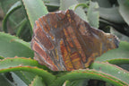 Polished On One Side Nguni Jasper Specimens x 2 From Prieska, South Africa - Toprock Gemstones and Minerals 