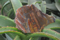 Polished On One Side Nguni Jasper Specimens x 2 From Prieska, South Africa - Toprock Gemstones and Minerals 