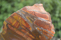 Polished On One Side Nguni Jasper Specimens x 2 From Prieska, South Africa - Toprock Gemstones and Minerals 
