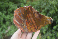 Polished On One Side Nguni Jasper Specimens x 2 From Prieska, South Africa - Toprock Gemstones and Minerals 
