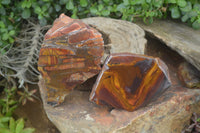 Polished On One Side Nguni Jasper Specimens x 2 From Prieska, South Africa - Toprock Gemstones and Minerals 
