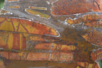 Polished On One Side Nguni Jasper Specimens x 2 From Prieska, South Africa - Toprock Gemstones and Minerals 