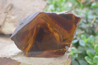 Polished On One Side Nguni Jasper Specimens x 2 From Prieska, South Africa - Toprock Gemstones and Minerals 