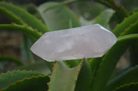 Polished Gemmy Rose Quartz Double Terminated Points x 6 From Madagascar - Toprock Gemstones and Minerals 