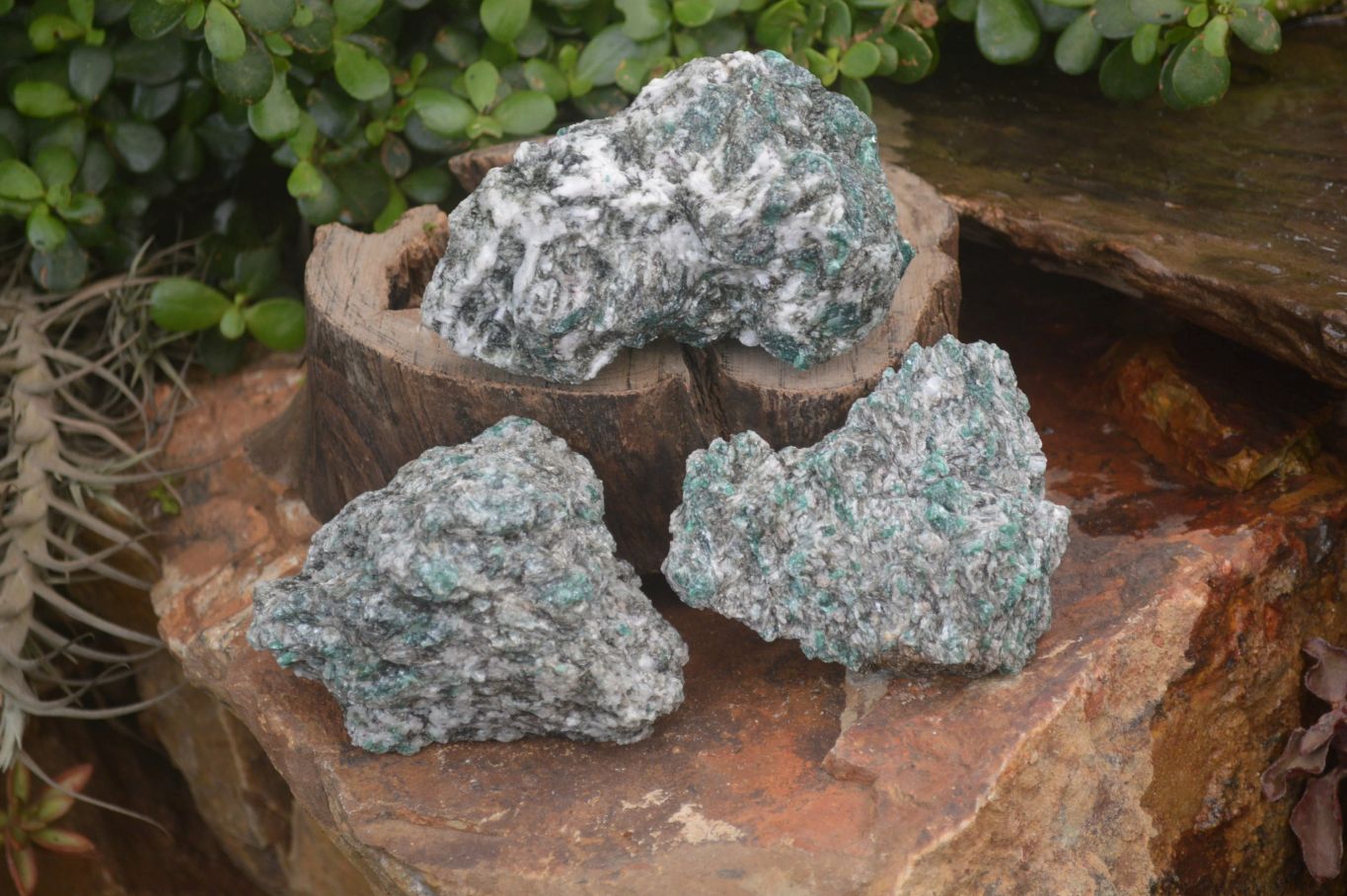 Natural Rare Emerald Mica In Matrix Cobbed Specimens x 3 From Mutoko, Zimbabwe - Toprock Gemstones and Minerals 