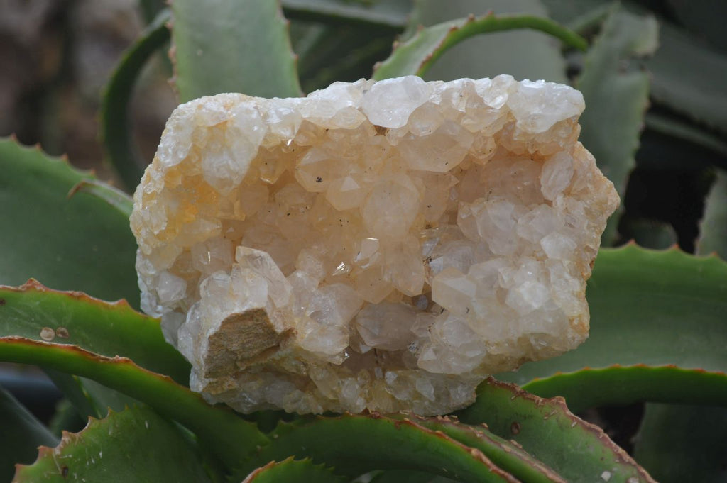 Natural Golden Limonite Quartz Clusters x 3 From Solwezi, Zambia - Toprock Gemstones and Minerals 