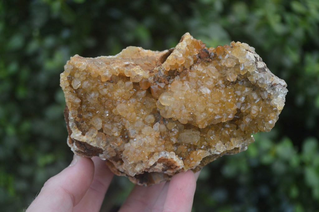 Natural Golden Limonite Quartz Clusters x 3 From Solwezi, Zambia - Toprock Gemstones and Minerals 
