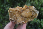 Natural Golden Limonite Quartz Clusters x 3 From Solwezi, Zambia - Toprock Gemstones and Minerals 